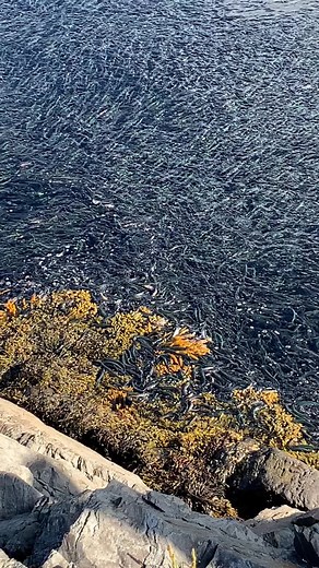 Ian Martin on TikTok