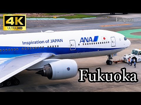 [4K] [飛行機 動画] Plane Spotting at Fukuoka Airport in Japan /福岡空港 2022/7/17 ANA B777飛来