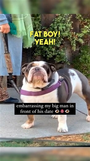 90K views · 3.2K reactions | Embarrassing his dog in front of his date  #bulldog #englishbulldog #funnydogvideos #funny #funnyvideos | Brennan Rogers | Facebook