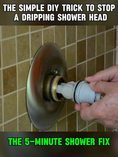 Fixing a Dripping Shower Head: Simple DIY Tips