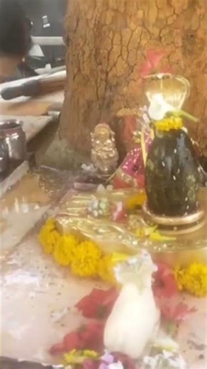 Do this remedy on any Pradosh day, your wish gets fulfilled before 3 months #panditpradeepmishras...