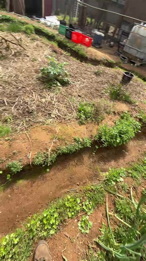 Troubleshooting Water Flow Issues in Garden Systems