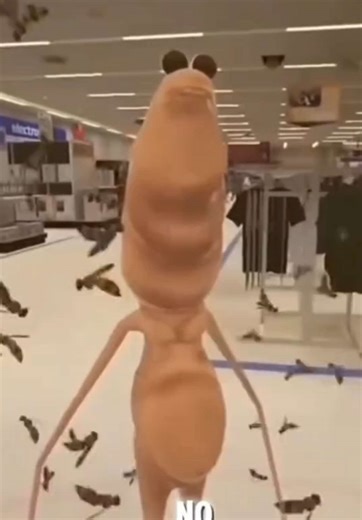 Lord of the Wasps: Hilarious VRChat Moments