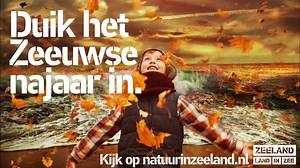 16K views · 616 reactions | Zeeland loopt over van de natuur. Uitgestrekte bossen , karakteristieke polderlandschappen, de hoogste duinen en meer. | Zeeland Visit | Facebook