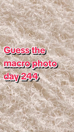 Jake's Macro Nature on TikTok