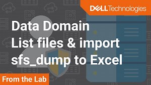 How to list files in Dell Data Domain and import sfs_dump to Excel