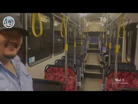 Bus Driver jobs in Sydney NSW
