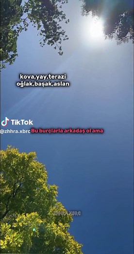 Astrological Compatibility: Virgo and Libra Relationship Insights