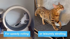 AberClub Cat Wheel – Large 43.3’’ Wheel Diameter - Safety Lock – Durable & Easy to Install – Cat Exercise Wheel –Cat Wheel Exerciser for Indoor Cats – TPE Silent Roller – Easy to Clean– Wood