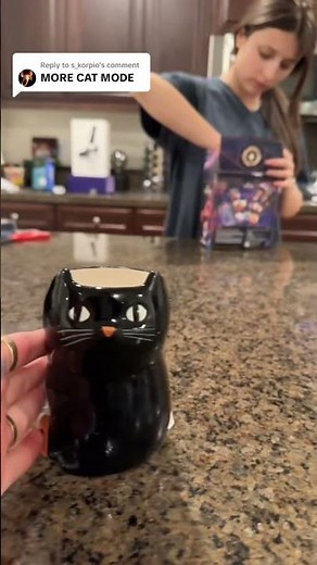 The return of cat mode #catmode
