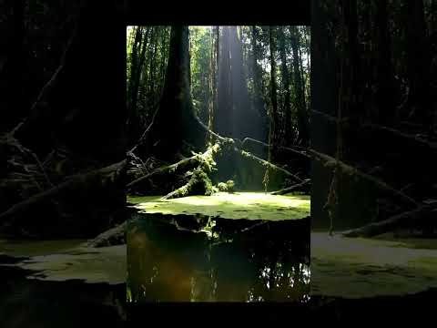 🎣 HUGE FISH BITE Caught on Camera! 🤯 You Won't Believe This! 😱