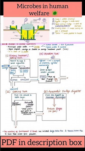 Class 12 Microbes in human welfare notes revision NCERT NEET one shot