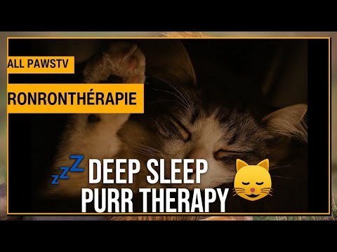 THERAPEUTIC Cat Purring 🐱 | Deep Sleep Music, Anxiety & Stress Relief (No Ads)