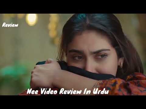 Aapa Ne Meri bahut madad ki ha Sayhaan Ghazi Humrahi Review | Danish Taimoor | Drama Review