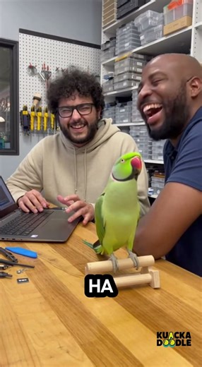 Parrot Roasts Windows Laptop With the Perfect Tech Joke