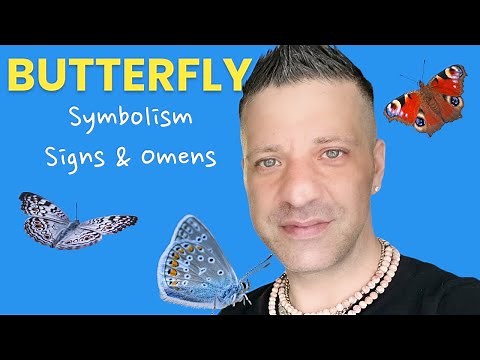 What Purple Butterflies Symbolize in Dreams & Real Life