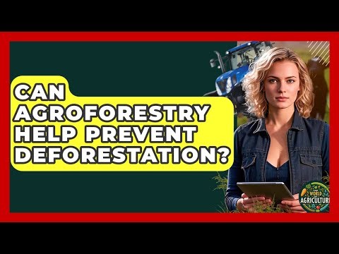 Can Agroforestry Help Prevent Deforestation? - The World of Agriculture