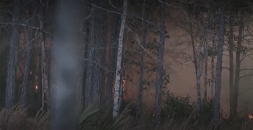 Firefighters continue to battle Mossy Pond fire