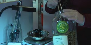 UP dispensary lays off employees amid new tax on cannabis