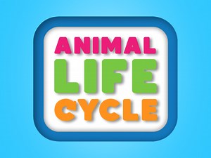 Play Animal Life Cycle | Free Online  Games. KidzSearch.com