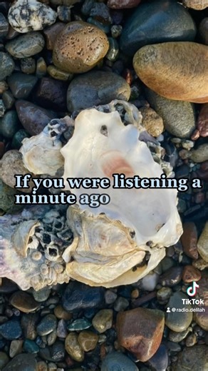 Time to shed that old shell and grow into your new life! #radiodelilah #lovesomeone #becomethenewyou | Delilah