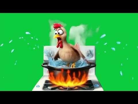 Poulet au menu 4k Green Screen