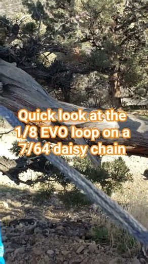 daisy chain with EVO loops