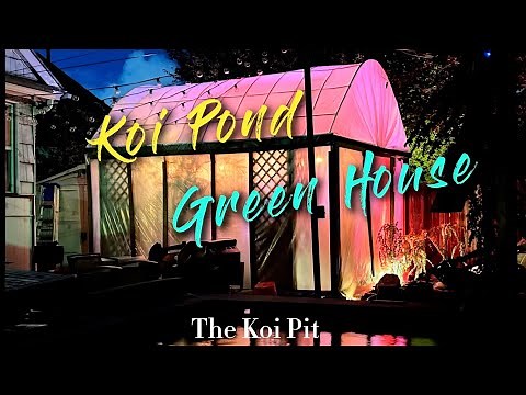 Koi Fish In Winter: Full Greenhouse Pond Walkthrough