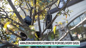 Kurios: Darum hängen Amazon-Fahrer ihre Handys in Bäume