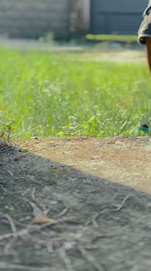 10K views · 238 reactions | Full video??殺 | Marylyn Mbb | Facebook