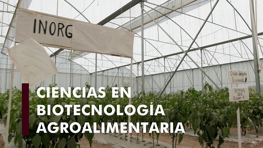 Instituto Tecnológico de Roque "El Semillero de nuestra historia" | TECNM - Roque