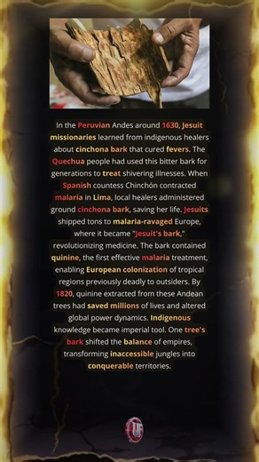 Incan Quinine Bark That Saved Europe