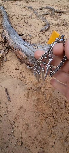 Metal Detecting for Hidden Treasure on the Beach
