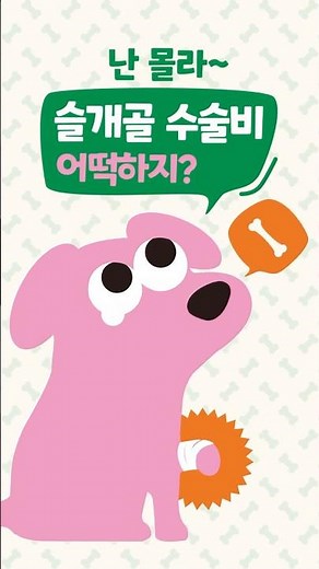 Olla! Pet Insurance created by Molly's and DB Insurance is here🐶🐱