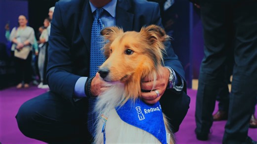 Informa Connect HR Events on Instagram: "Day 1 at HRSE 2025 was truly inspiring. From powerful connections at the Circle Stage to groundbreaking ideas in the Tech & Innovation Zone, plus some well-deserved relaxation at The Connect Suite, the energy has been incredible all day. The networking buzz continues as we close Day 1. Who's excited for what Day 2 will bring? Let’s keep the momentum going! See you tomorrow. 22–23 October | Halls 3 & 4 #HRSEDubai #HRSEDXB #HRInnovation #FutureOfWork #DWTC"