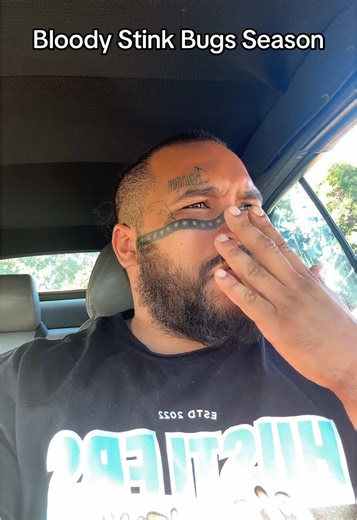 Dealing with Stink Bugs: A Comprehensive Guide