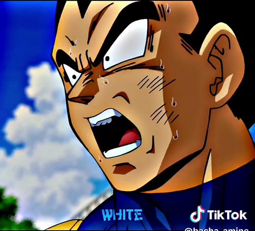 Don't touch Bulma 💀🔥 #anime#vegeta#beerus#dragonball#fyp | vegeta vs bills