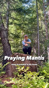 Praying Mantis 🏔️😃 🌳#jianfengchentaichi #oregontaichiwushu #wushu #kungfu #kungfumaster #shaolinkungfu #taichi #martialarts #shaolin #taolu #武术 #太极 #功夫 | Oregon Tai Chi Wushu