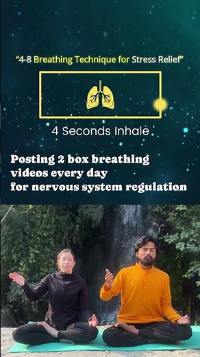 Breathe With Us 🌿 4-8-4-8 Box Breathing for Deep Calm