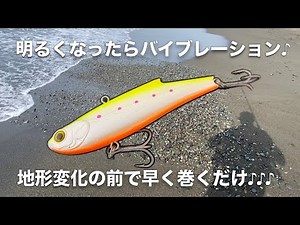 明るくなってきたらバイブレーションを投げてみよう♪