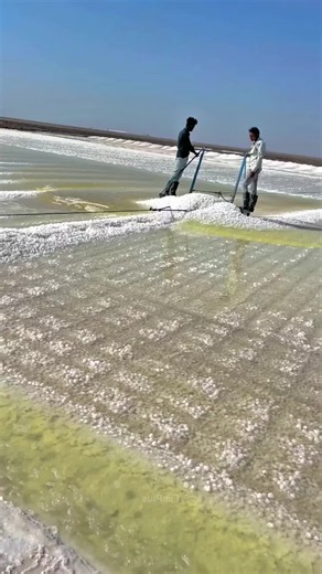 How table salt is made #salt #salt_production #how_it_is_made #table_salt #educational_video