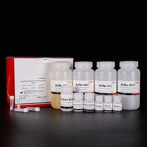 [Hot Item] MagPure Stool DNA Kit for Rna/DNA Extraction Purification