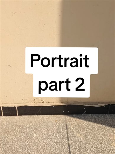 Part 2 of making portrait on Canvas