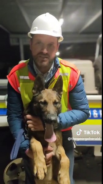 Meet Bond: The Heroic Rescue Dog in Victoria Street | George Building Collapse