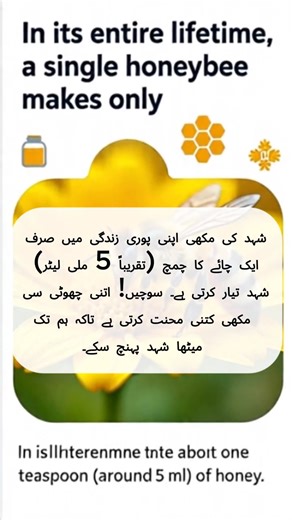 🌟 Welcome to Amazing Facts World! 🌟 Discover the most amazing, weird, and unbelievable facts from around the world! 🌍 From human body secrets to space wonders, mind-blowing animal facts, historical mysteries, and even beauty & skincare tips to keep you glowing naturally! 🌿💫 ✨ What we share: ✅ Daily fun facts that surprise you! 🤯 ✅ Secret beauty & health tips for a natural glow! 💅🍯 ✅ Incredible science & space facts that make you wonder! 🌌🔭 ✅ Historical truths & cultural mysteries from 