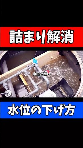 Daiki XH Series Septic Tank | Causes of High Water Levels and How to Fix Them!
