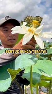 25K views · 445 reactions | Bentuk Bunga Teratai | Pusanggala Real 2 | Facebook
