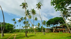 Natural landscape of palm trees and green bright grass. Action. Beautiful cottage and summer countryside landscape.