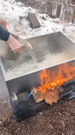 How Maple Syrup Is Made from Wild Maples I From Tree to Jar