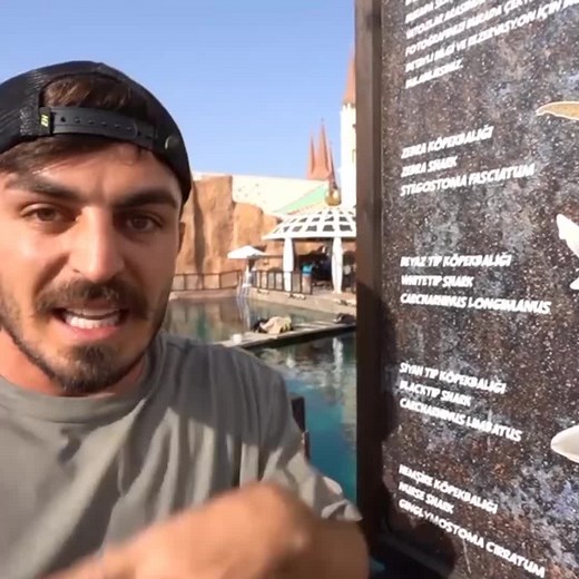 Hıh,Daha güçlü bir canlı yokmuş😏@Kaan @Nightmare_Springtrap @Planet Dinosaurs&JW&JP @🐧 Penguinosaur 🐧 @⚡ SpinoTrap ⚡